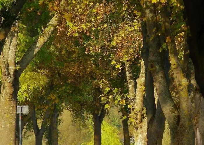 Haus Budinger By Interhome